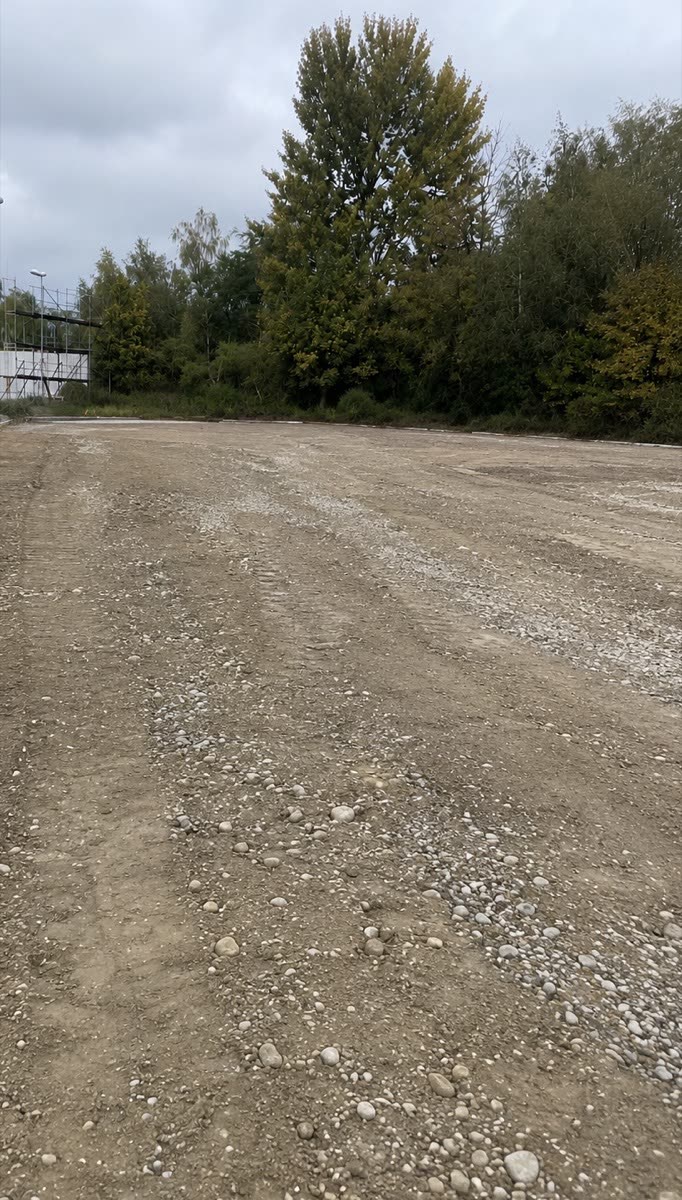 Dieselbe Fläche vor dem Pflastern: unbefestigter Untergrund vor der Baumreihe